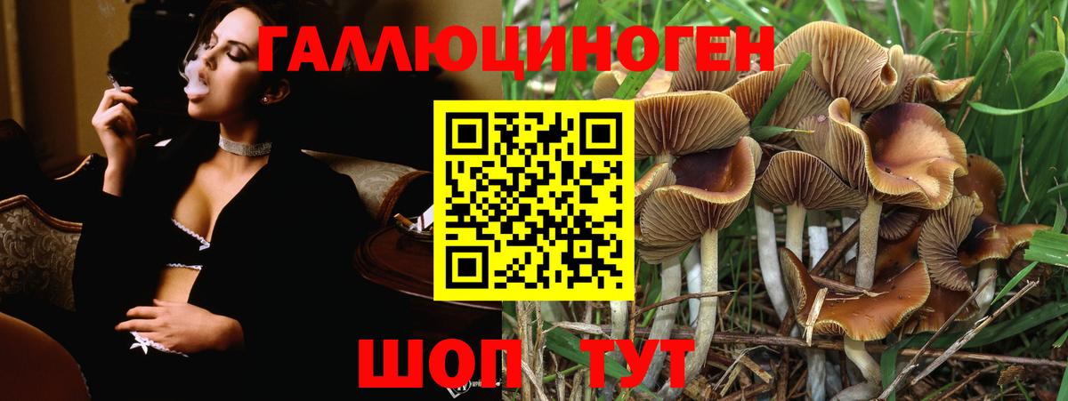Псилоцибиновые грибы Magic Shrooms  Вход с VPN  Галлюциногенные грибы Psilocybe  Кингисепп 