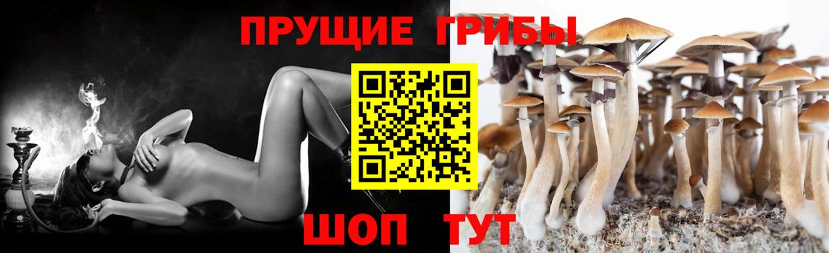 Галлюциногенные грибы мицелий Кингисепп